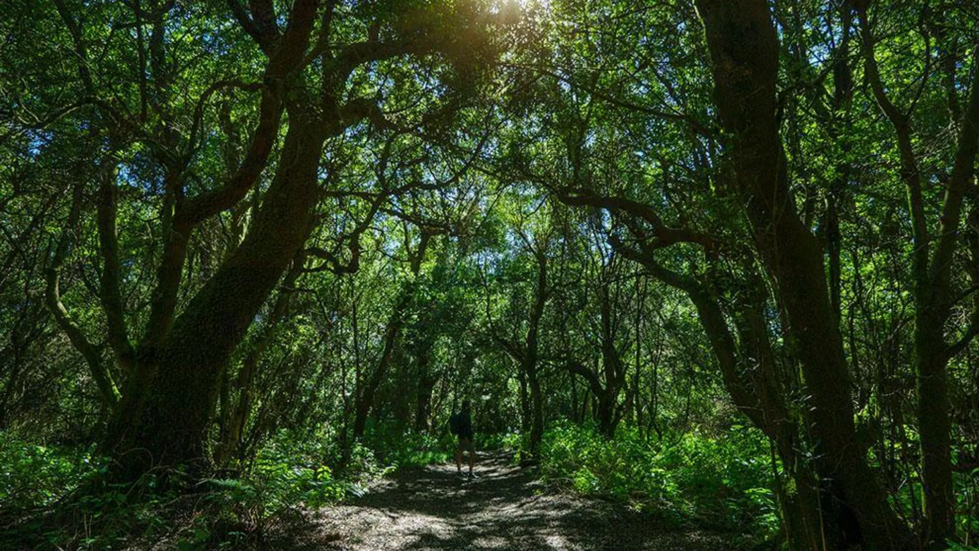 Actividades en la naturaleza