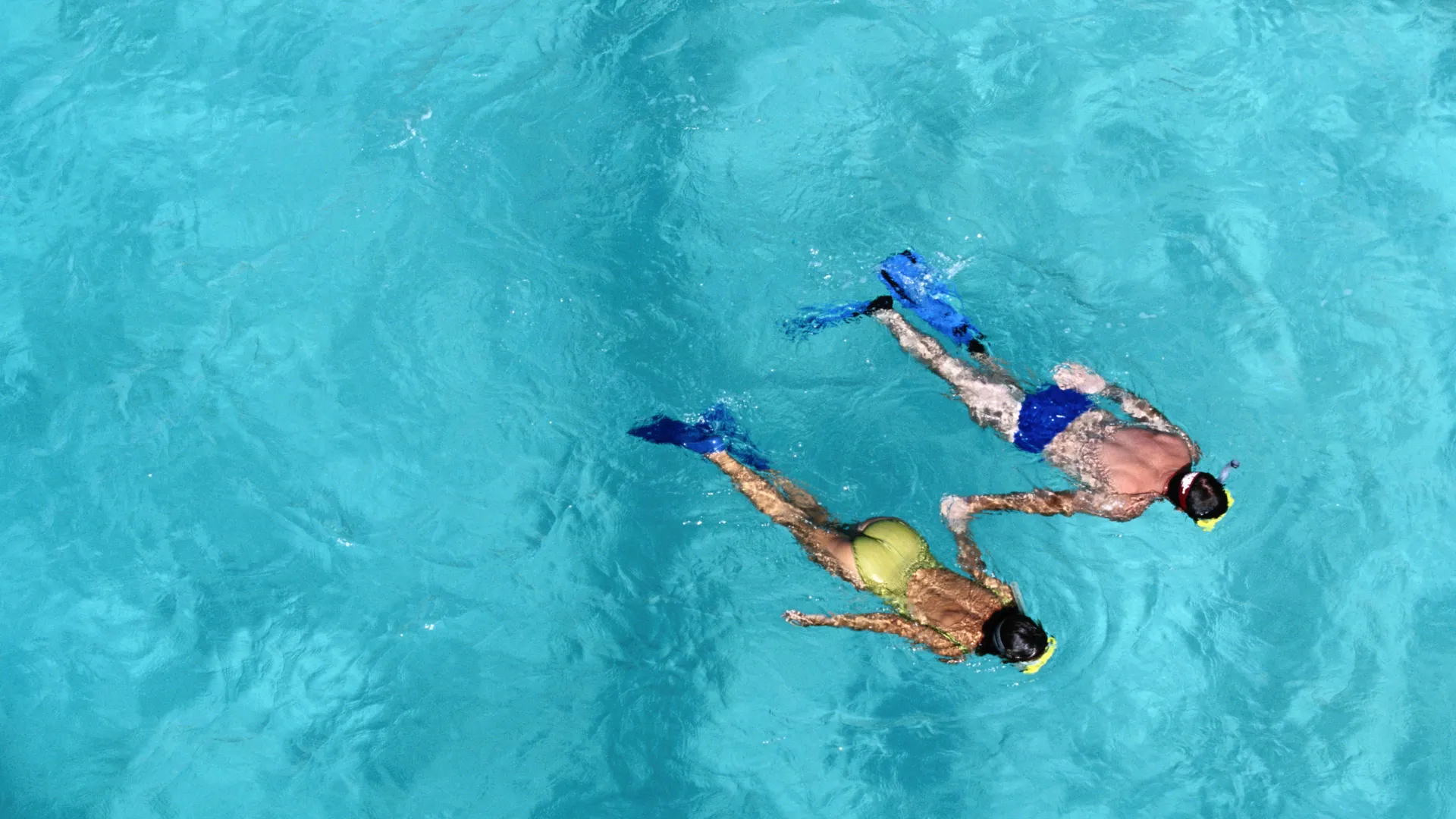 Snorkel
